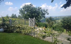 Cicci House